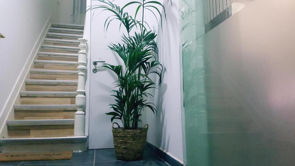 Cozy Rooms With Share The Bathroom And Kitchen Bruxelles Esterno foto